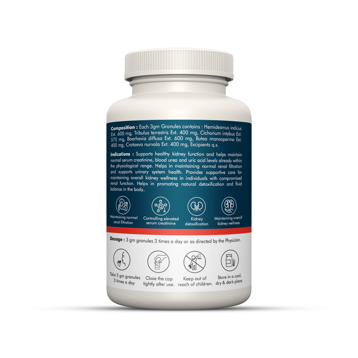 RenReg – Ayurvedic Renal Wellness Support Formula