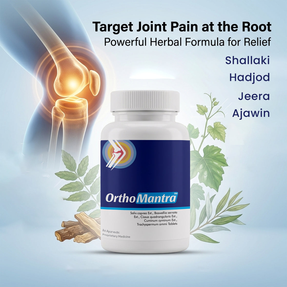 Ortho Mantra | Advanced Joint & Pain Support Formula