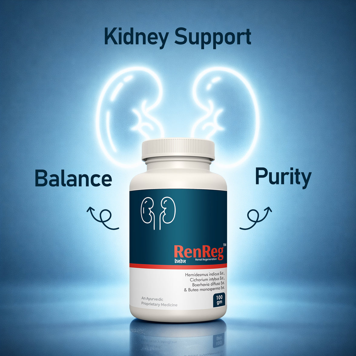 RenReg – Ayurvedic Renal Wellness Support Formula